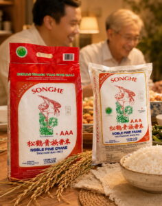 songhe-brand-direction-min